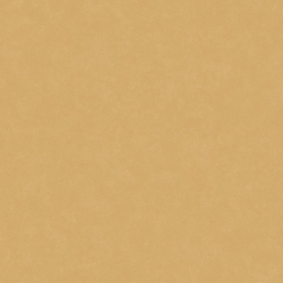 ЛИНОЛЕУМ ТАРКЕТТ ACCZENT ESQUISSE 05