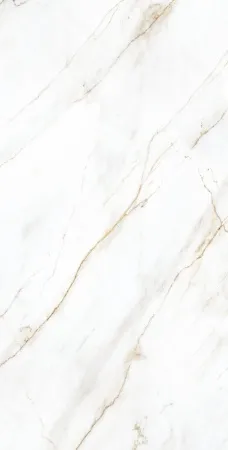 SELVA GOLD