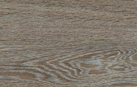 D4841 ДУБ РОБУСТУС