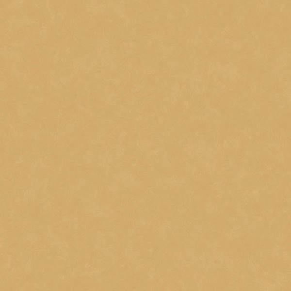 ЛИНОЛЕУМ ТАРКЕТТ ACCZENT ESQUISSE 05