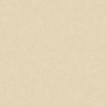 ЛИНОЛЕУМ ТАРКЕТТ ACCZENT ESQUISSE 01